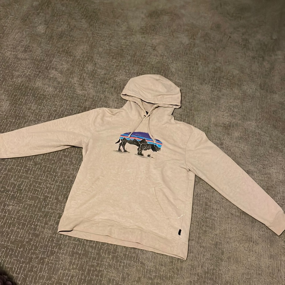 Men’s Patagonia Hoodie - Size M
